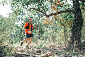 BIB: 
                            <button type="button" onclick="openModal(26094896)" class="btn btn-primary btn-sm float-right btn-popup" data-toggle="modal" data-target=".modal-high-quality">
                        <i class="fas fa-shopping-cart"></i> Add to Cart
                    </button>
                                            <button type="button" onclick="isThisMe(26094896, true)" class="btn btn-success btn-sm float-right btn-popup btn-isme hidden" data-toggle="tooltip" data-placement="bottom" title="นี่คือรูปของคุณใช่ไหม คลิกที่นี่เพื่อเอาเข้าอัลบั้ม">
                        <i class="fas fa-plus"></i> Add to album
                    </button>
                    <button type="button" onclick="isThisMe(26094896, false)" class="btn btn-warning btn-sm float-right btn-popup btn-isnotme hidden">
                        <i class="fas fa-ban"></i> Remove from album
                    </button>